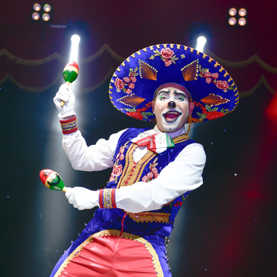 Het is het grootste kerstcircus van Nederland. Van 21 december tot en met 31 december vindt in de Jaarbeurs de eerste editie van Circusfestival Utrecht plaats. Een grote en sensationele show waarvoor de wereldtop op circusgebied afreist naar de Domstad. 